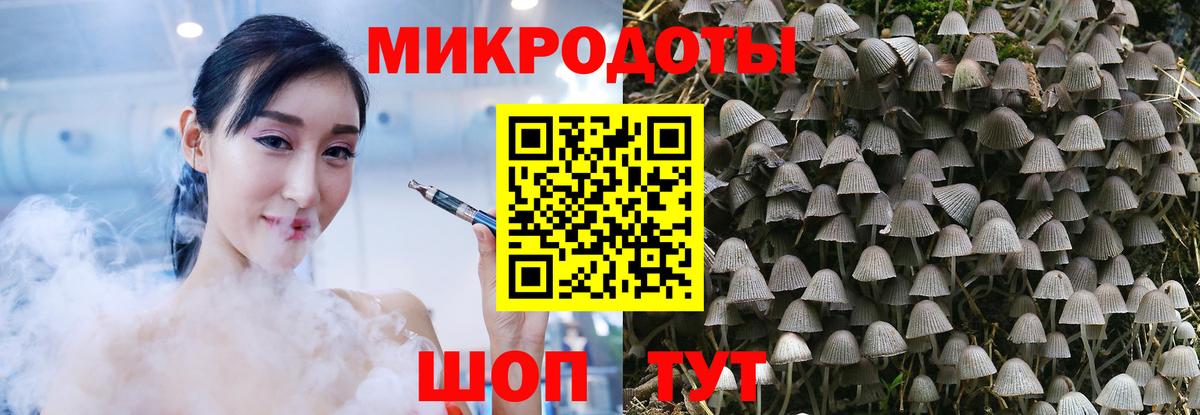 Галлюциногенные грибы MAGIC MUSHROOMS  Псилоцибиновые грибы прущие грибы  Новодвинск  Вход с VPN 